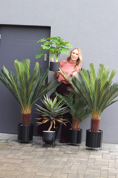 Palma Thaiti Black, sztuczna roślina w ozdobnej donicy