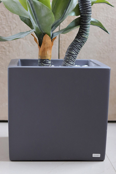 Agawa Fiberglass, roślina w metalowej donicy