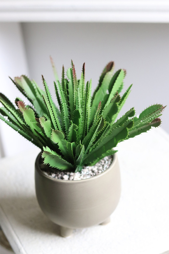 Frey, kaktus sztuczna roślina w doniczce na nóżkach