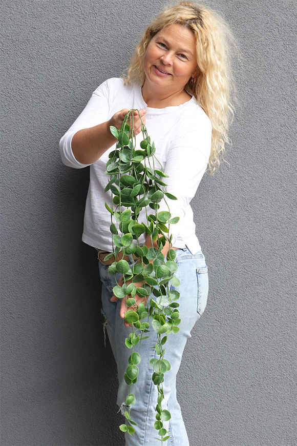 Zielona Ruberia, zielona roślina pnąca na piku