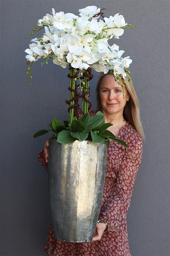 bardzo elegancki storczyk Srebrna Bajka, wys.115cm