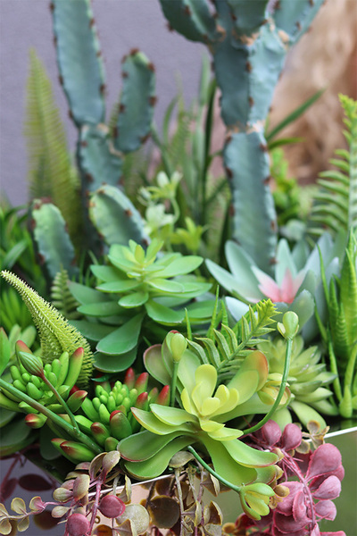 Cacti Acapulco Mirror, sukulenty z kaktusem w stalowej donicy	