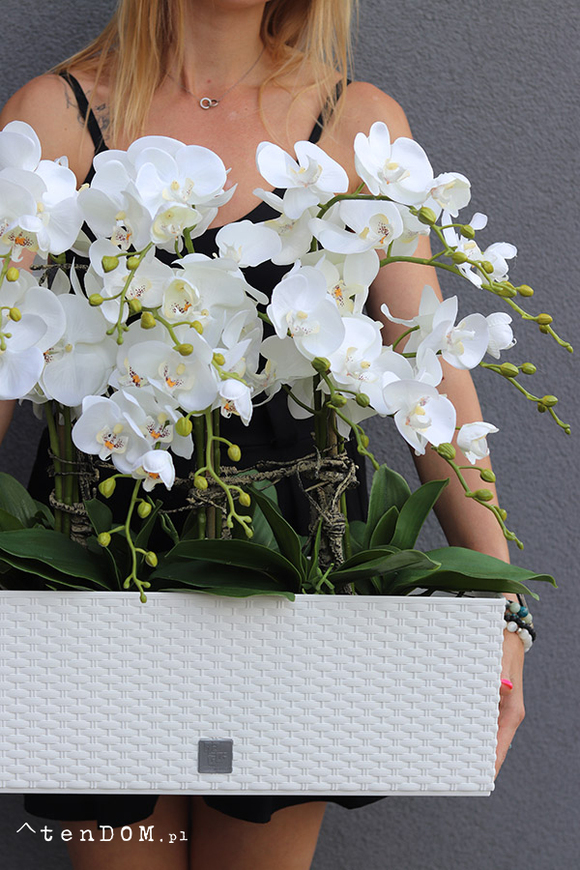 Samanta Natural, wysokiej jakości sztuczny storczyk