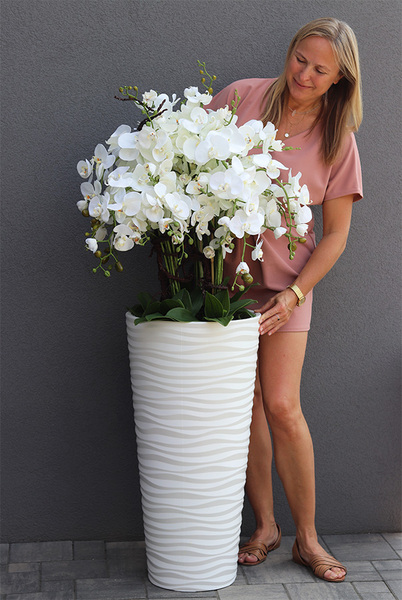 Biała Gizelle, duży storczyk podłogowy w białej donicy