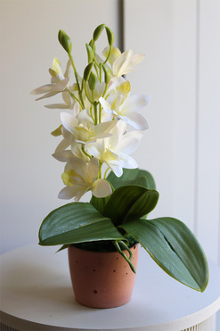 OD RĘKI Mini Colors Concrete, gumowy storczyk w różowej donicy, wys.39cm 