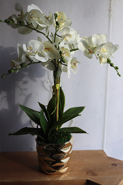 efektowny sztuczny storczyk, Ramona Gold, wys.57cm