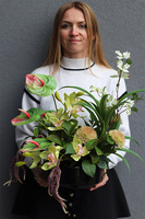 Seledynova Gaina, kompozycja kwiatowa