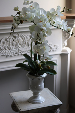 Ydetta Ażur na nodze, storczyk w ażurowej donicy, wys.60cm 