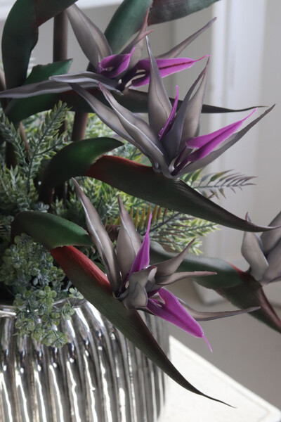 Strelicja Silver Blue, kompozycja w srebrnej donicy