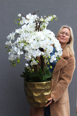 Deluxe Gold 2, sztuczny storczyk w złotej donicy, wys.98cm