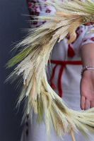 Dożynki, dekoracyjny wianek ze zbóż,