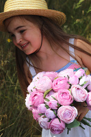 Ranunculus, bukiet kwiatów, różowy, 9szt