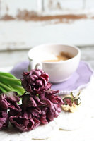 bukiet gumowych tulipanów, Novelty Purple, 5szt. dł.46cm 