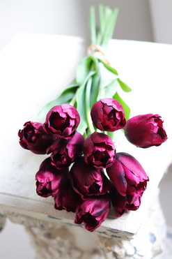 Bordo Spring, bukiet tulipanów satynowych, 12szt, dł.50cm