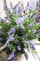 Lawendisa, beżowy flowerbox z lawendą, wys.54cm