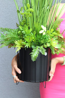 Zielony Ogród, sztuczna trawa z sukulentami w czarnej donicy