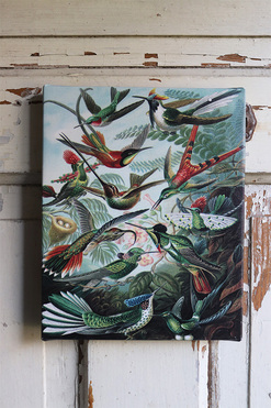 Paradiso, obraz z egzotycznymi ptakami, wym.25x20cm 
