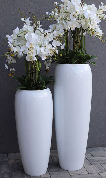 Premium Orchid, komplet 2 szt. wysokich storczyków w białych donicach, wym.154cm/175cm