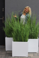 Fiberglass Quartet, sztuczne trawy w białej donicy