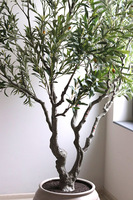 Oliwka Premium XXL, sztuczna roślina drzewko oliwne