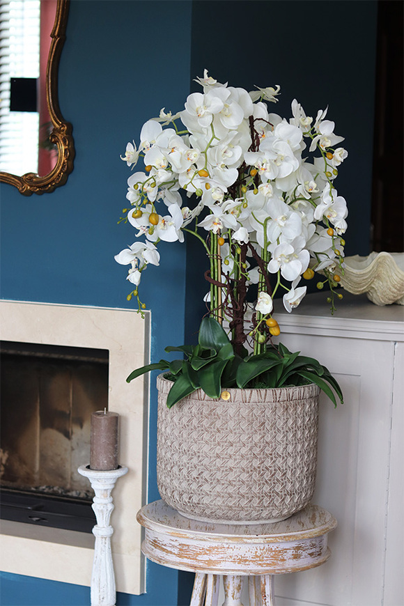 elegancki storczyk w donicy, Gefriata Boho, wys.94cm