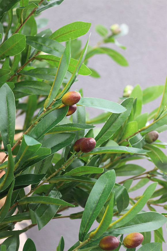 Drzewko Oliwne, sztuczna roślina w doniczce