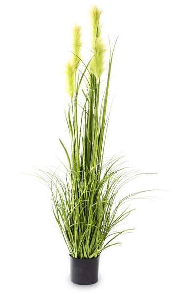 sztuczna trawa Pióropusze, zieleń, wys.151cm