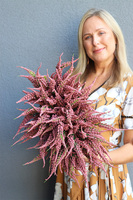 Wrzosowisko Fiolet, kompozycja kwiatowa w donicy