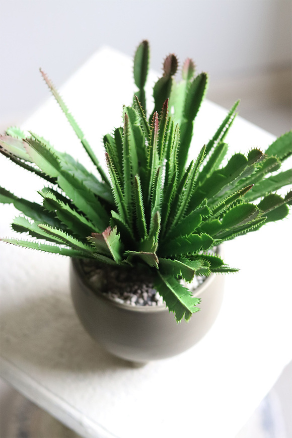 Frey, kaktus sztuczna roślina w doniczce na nóżkach