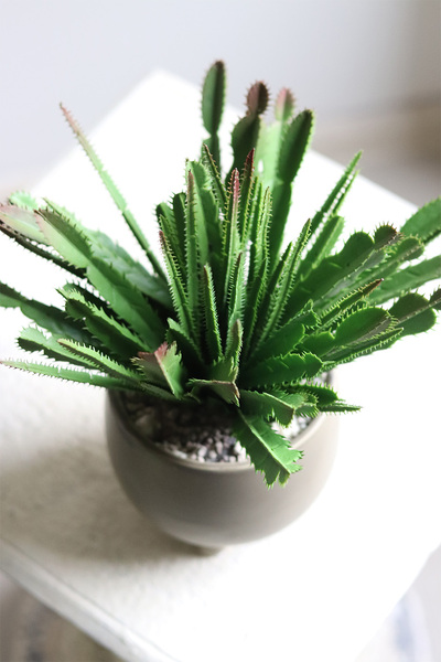 Frey, kaktus sztuczna roślina w doniczce na nóżkach