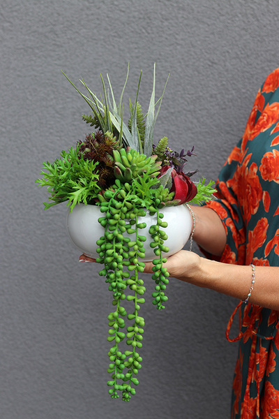 Green Suculerra, kompozycja sukulenty w okrągłej donicy, wym.32x36cm