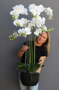 Andaluzja A storczyk sztuczny - wkład do donicy, wys.120cm