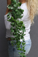 Zielona Ruberia, zielona roślina pnąca na piku