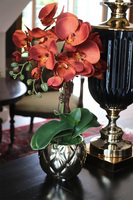 miedziany storczyk w złotej donicy, Diamond Red, wys.53cm