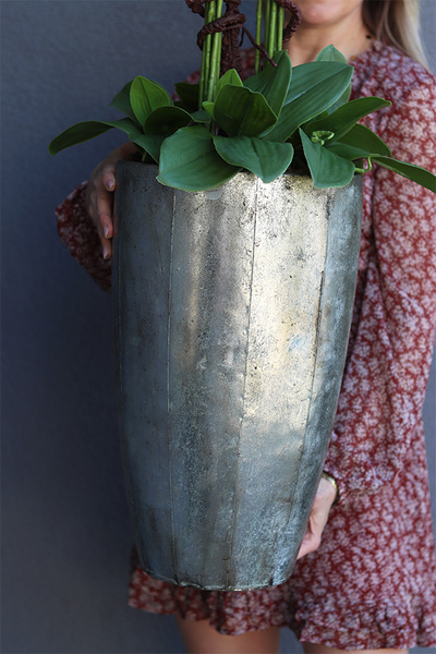 bardzo elegancki storczyk Srebrna Bajka