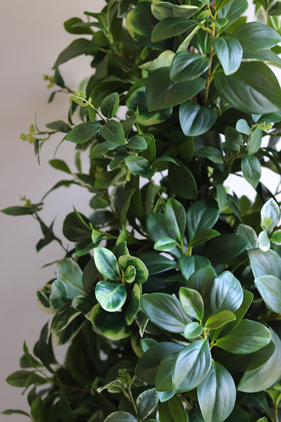 New Green Saute, drzewko sztuczne kolumnowe we wkładzie