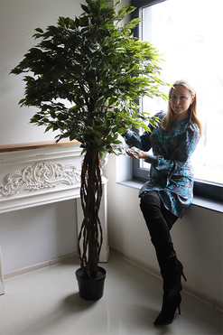 fikus Benjamin, sztuczne drzewko, wys.200cm  
