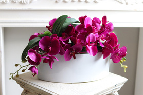 Dekoria Orchidelia Fuksja, kompozycja w podłużnym naczyniu, dł.48cm