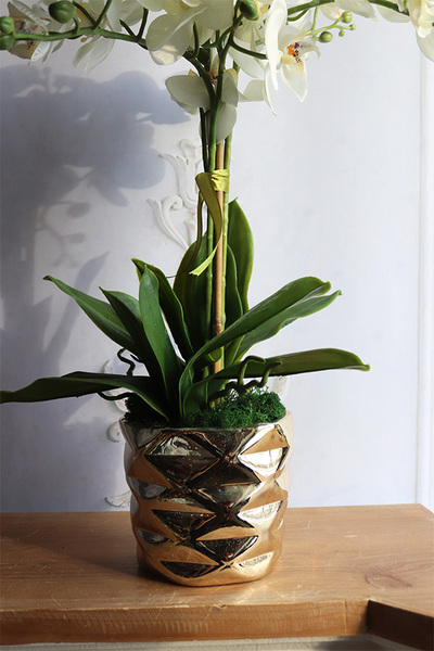 efektowny sztuczny storczyk, Ramona Gold