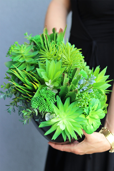 Black Grefia, kompozycja sukulenty w donicy, wym.27x31cm