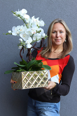 Diamondo Gold 3, storczyk w złotej donicy wysadzanej kryształami, wys.64cm 