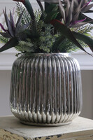 Strelicja Silver Blue, kompozycja w srebrnej donicy