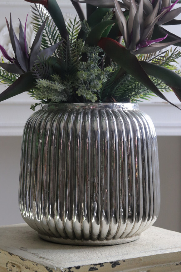 Strelicja Silver Blue, kompozycja w srebrnej donicy