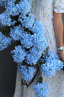 Blue Hydrangea, niebieska dekoracyjna girlanda z hortensji