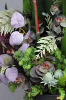 Strelicja Genassa Exclusive, egzotyczna dekoracja podłogowa