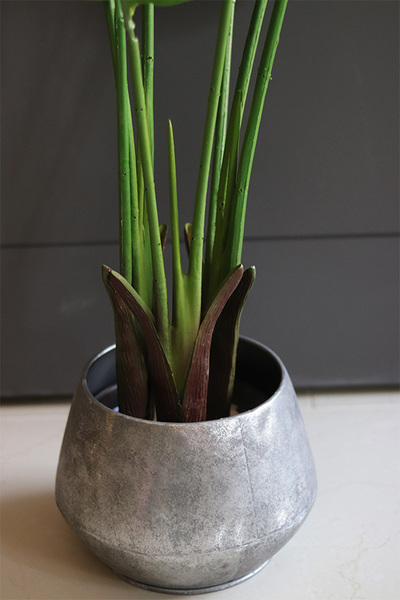 Bananowiec Simple Silver, sztuczna roślina w donicy