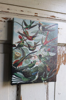 Paradiso, obraz z egzotycznymi ptakami, wym.25x20cm 