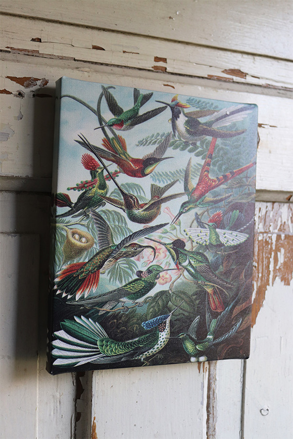 Paradiso, obraz z egzotycznymi ptakami, wym.25x20cm 