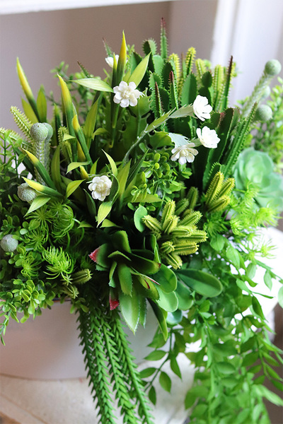 Anya Manfredo Sukulenty, zielona kompozycja w donicy