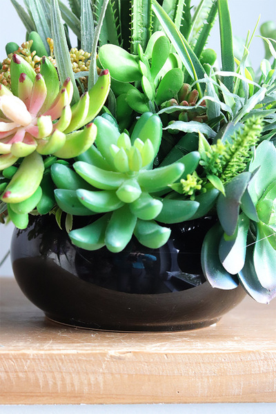 Zielony Dom, kompozycja sukulenty w okrągłej donicy	